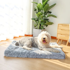 PawLounge™ - Orthopedic Pillow