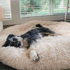 PawLounge™ - World's #1 Anexiety Relieving Dog Bed