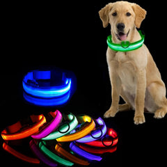 PawLounge™ NightGuard – LED Collar