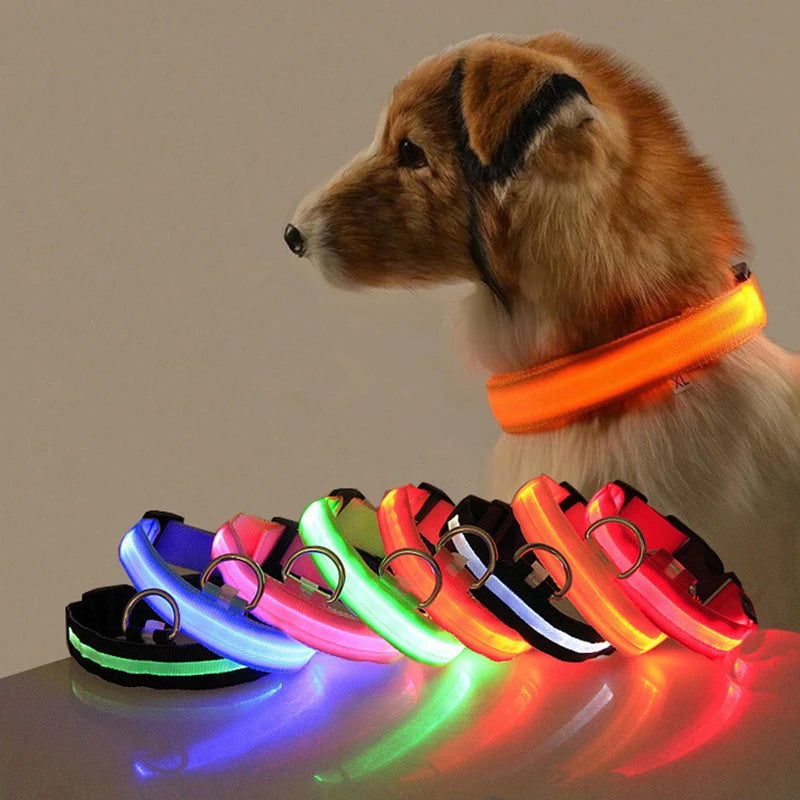 Leashes, Collars & Harnesses